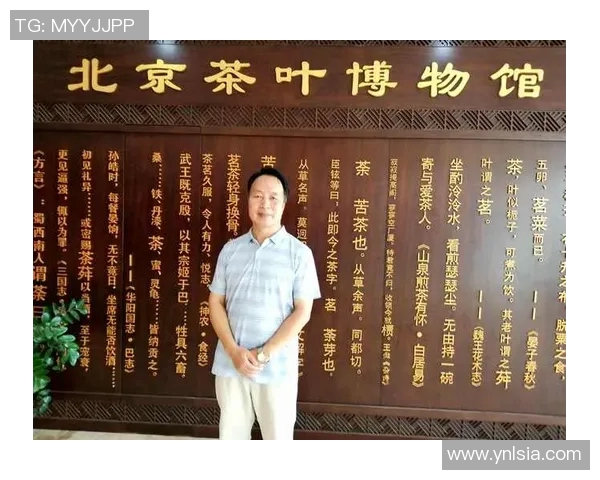 武汉乒乓球队在阵地战中的表现分析与未来发展方向探讨